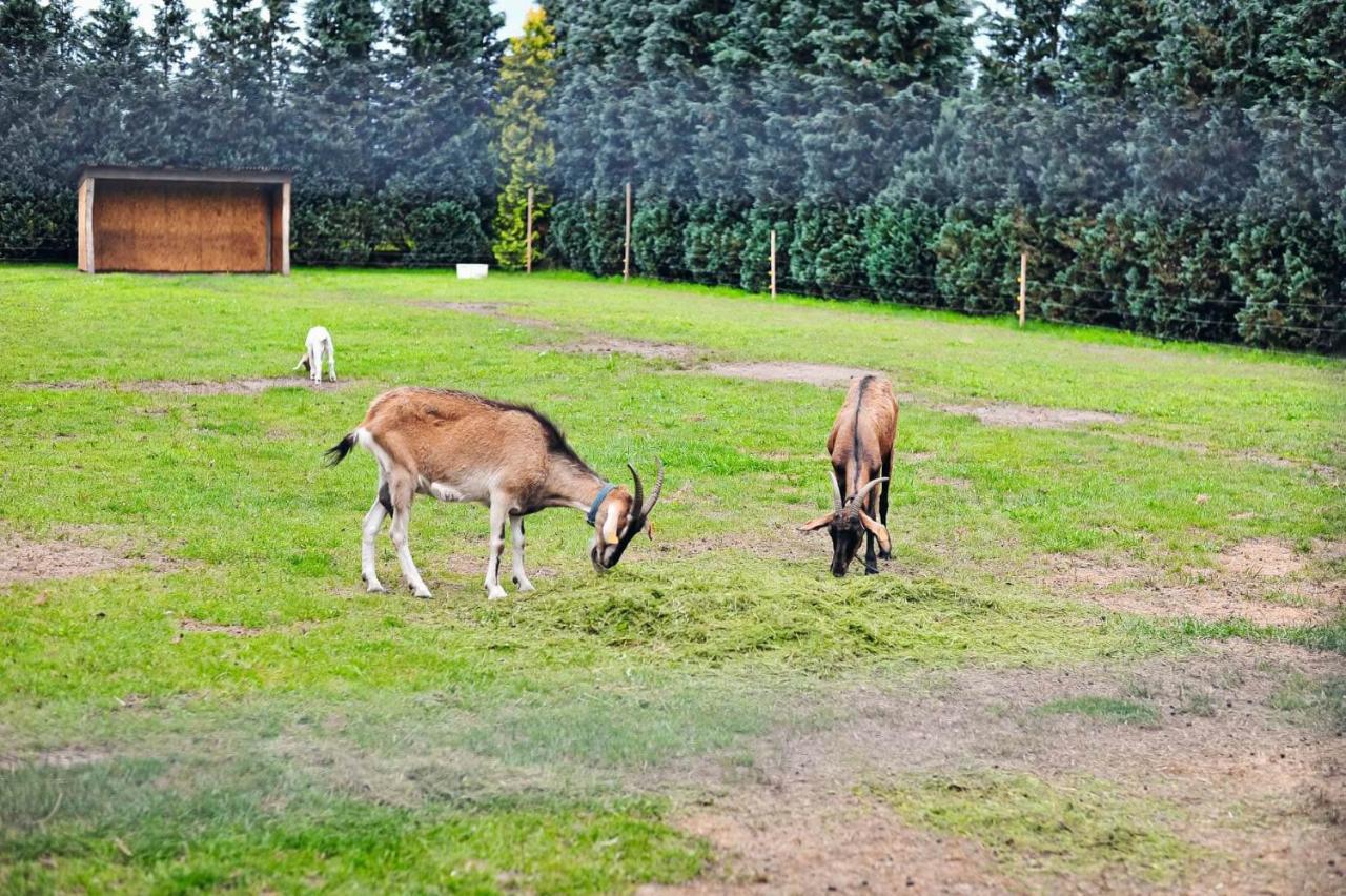 Farma Serock Villa Buitenkant foto